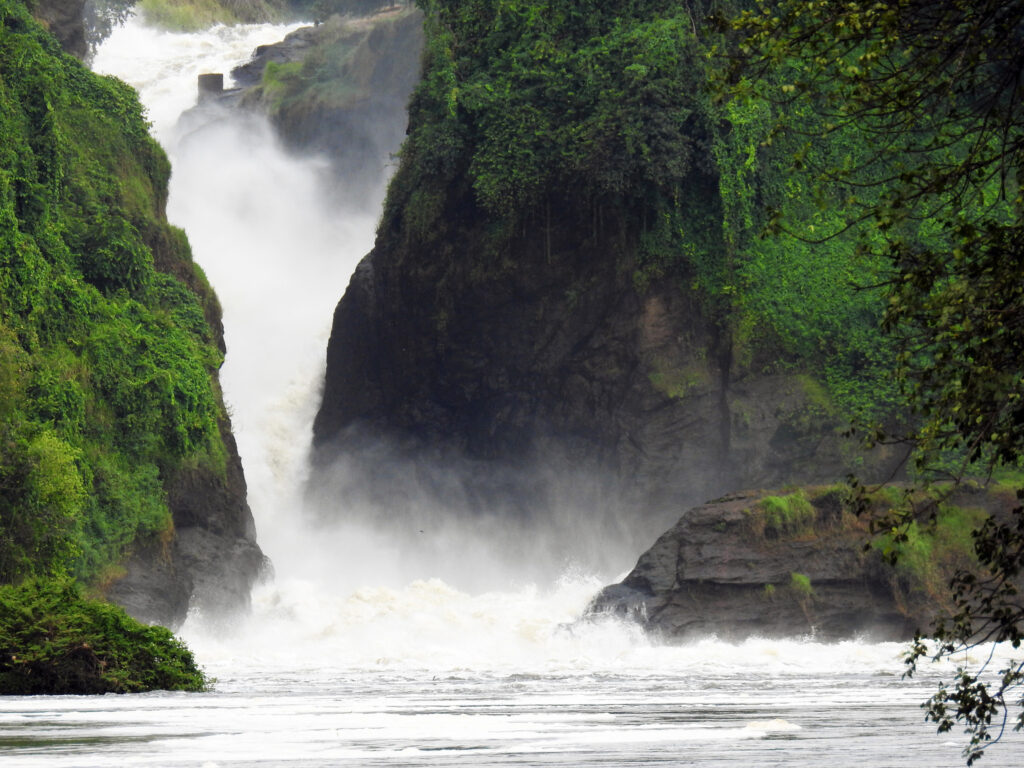habari-uganda-murchison-falls